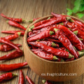 Pepper de chile rojo rojo caliente al por mayor a granel
